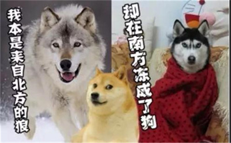 20190404100143_85819.jpg